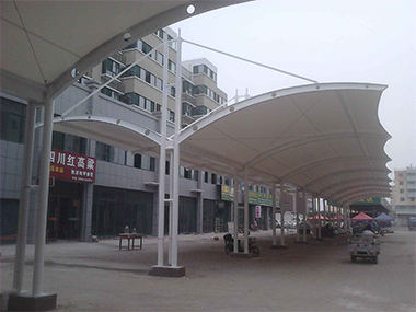 C011