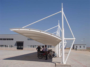 C007